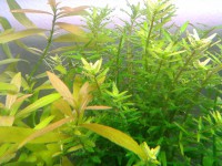 /album/fotogaleria/a2014-03-28-17-51-51-jpg/